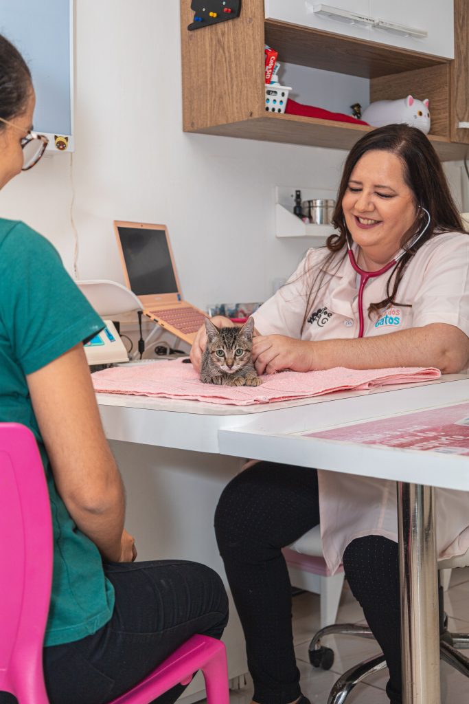 Dra. Candice Garcia explica importância das clínicas exclusivas para gatos