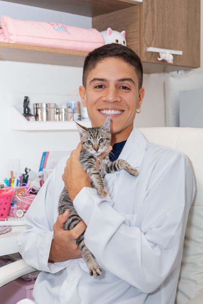 Terapias complementares ganham espaço entre os tratamentos de saúde para  felinos