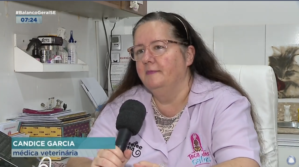 Diretora clínica da Toca dos Gatos, Candice Garcia, concede entrevista à TV Atalaia sobre problemas respiratórios nos felinos