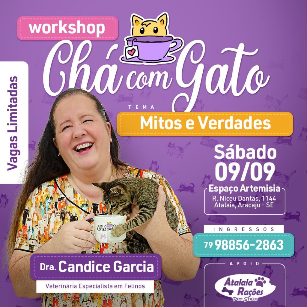 Especialista em felinos, Candice Garcia ministrará workshop para esclarecer mitos e verdades sobre os gatos