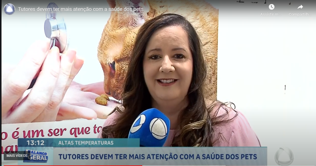 Diretora clínica da Toca dos Gatos concede entrevista para a TV Atalaia sobre cuidados com os felinos no verão