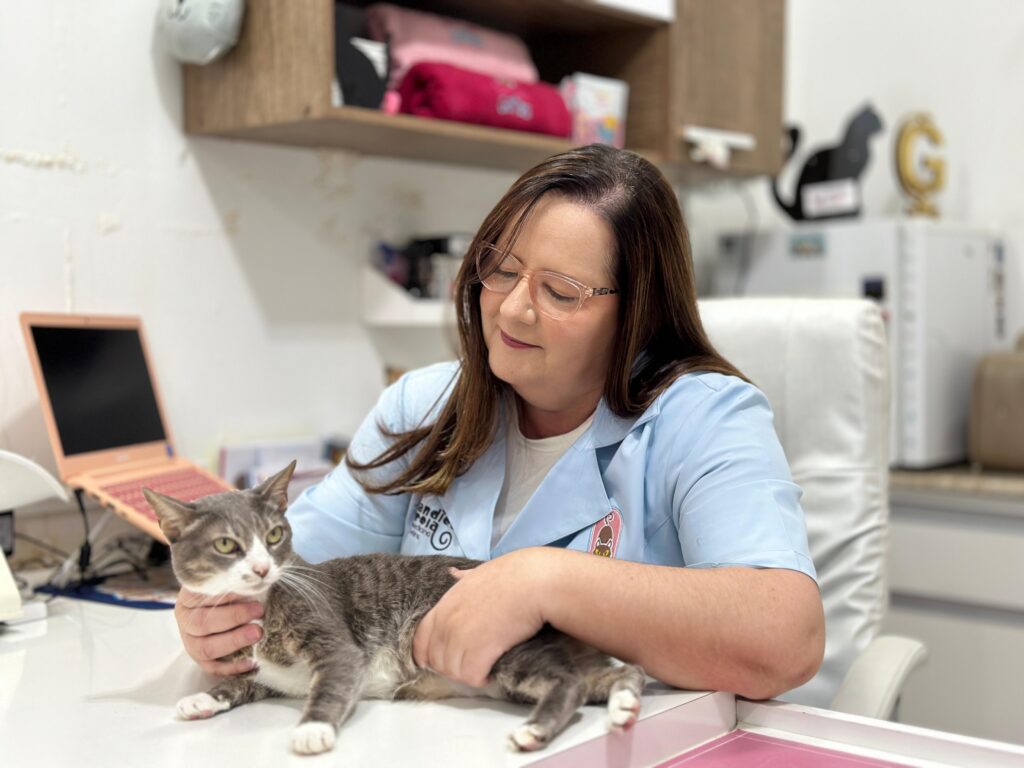 Diretora clínica da Toca dos Gatos, Candice Garcia alerta para os riscos de desidratação em gatos