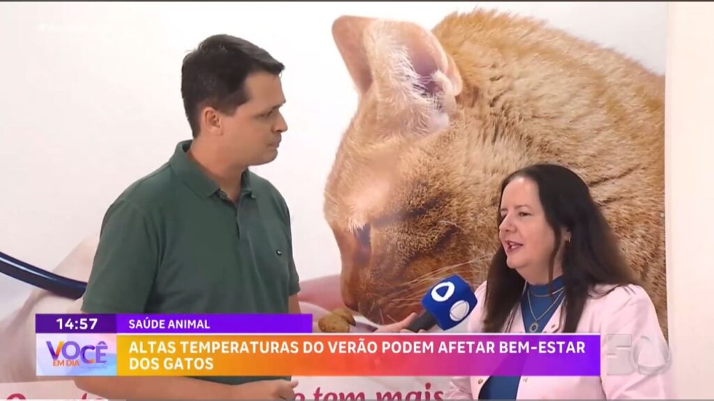 Diretora clínica da Toca dos Gatos concede entrevista para a TV Atalaia